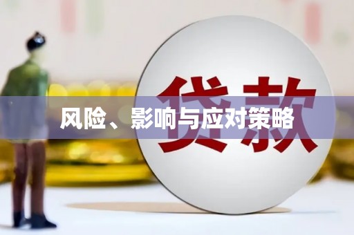 惠安风险、影响与应对策略