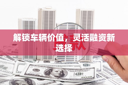 固阳解锁车辆价值，灵活融资新选择