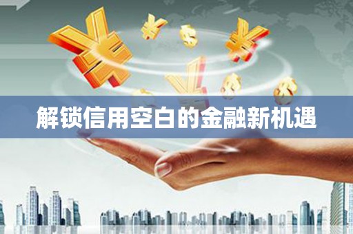 德宏解锁信用空白的金融新机遇