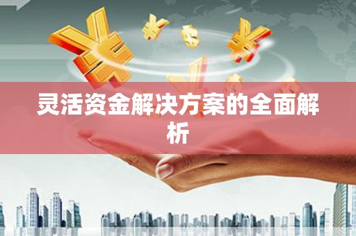罗定灵活资金解决方案的全面解析