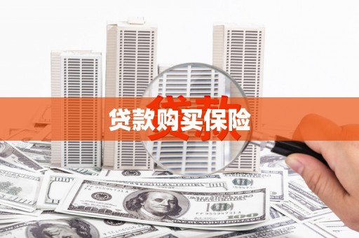 双清贷款购买保险